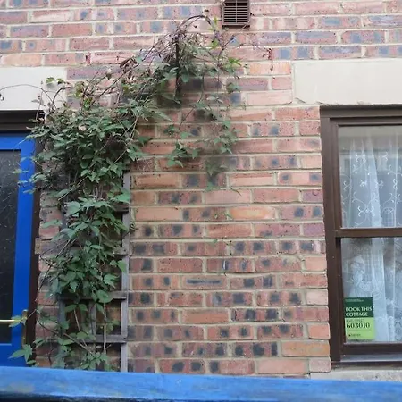 Haven Cosy بيت للعطل